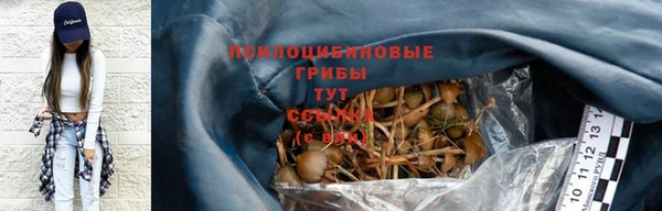 МДПВ Пролетарск