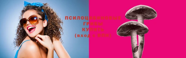МДПВ Пролетарск