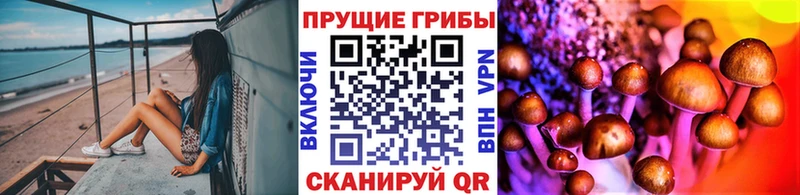 Купить  Топки  Псилоцибиновые грибы ЛСД 